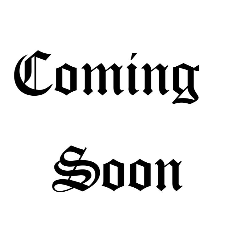 G-string(2 pack)-Stretch Mesh